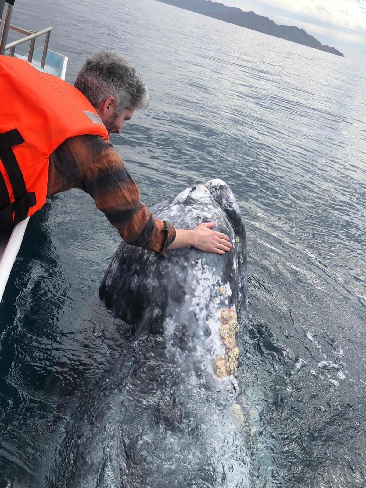 Hotel- Whale Tours And Sport Fishing Vista Mag-Bay Puerto San Carlos Экстерьер фото