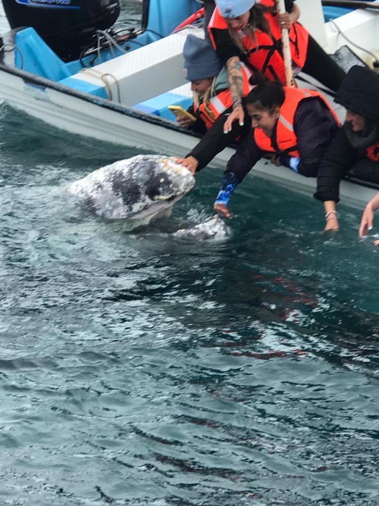 Hotel- Whale Tours And Sport Fishing Vista Mag-Bay Puerto San Carlos Экстерьер фото